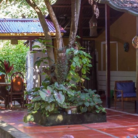圣玛尔塔 Mi Refugio Tayrona酒店 外观 照片