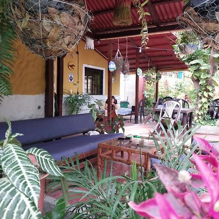 圣玛尔塔 Mi Refugio Tayrona酒店 外观 照片